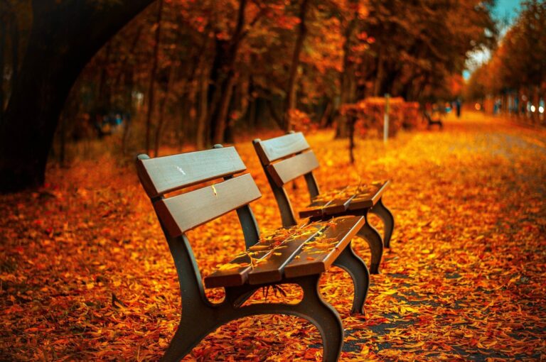 Herbstferien insta